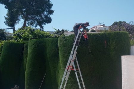 Hedge Cutting Service