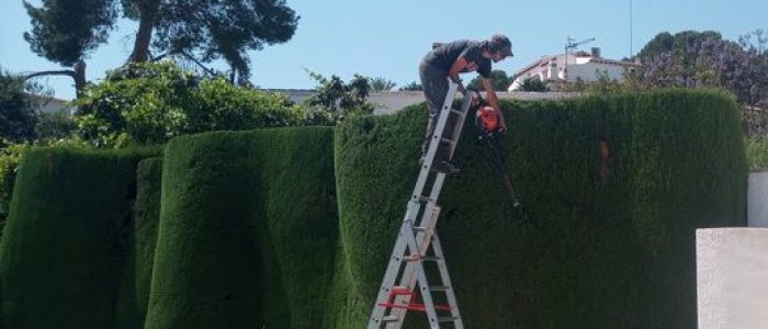 Hedge Cutting Service
