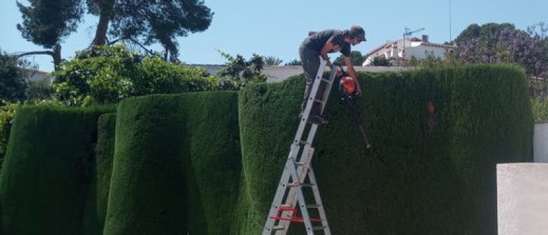Hedge Cutting Service