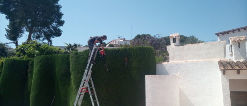 See Our Garden Services